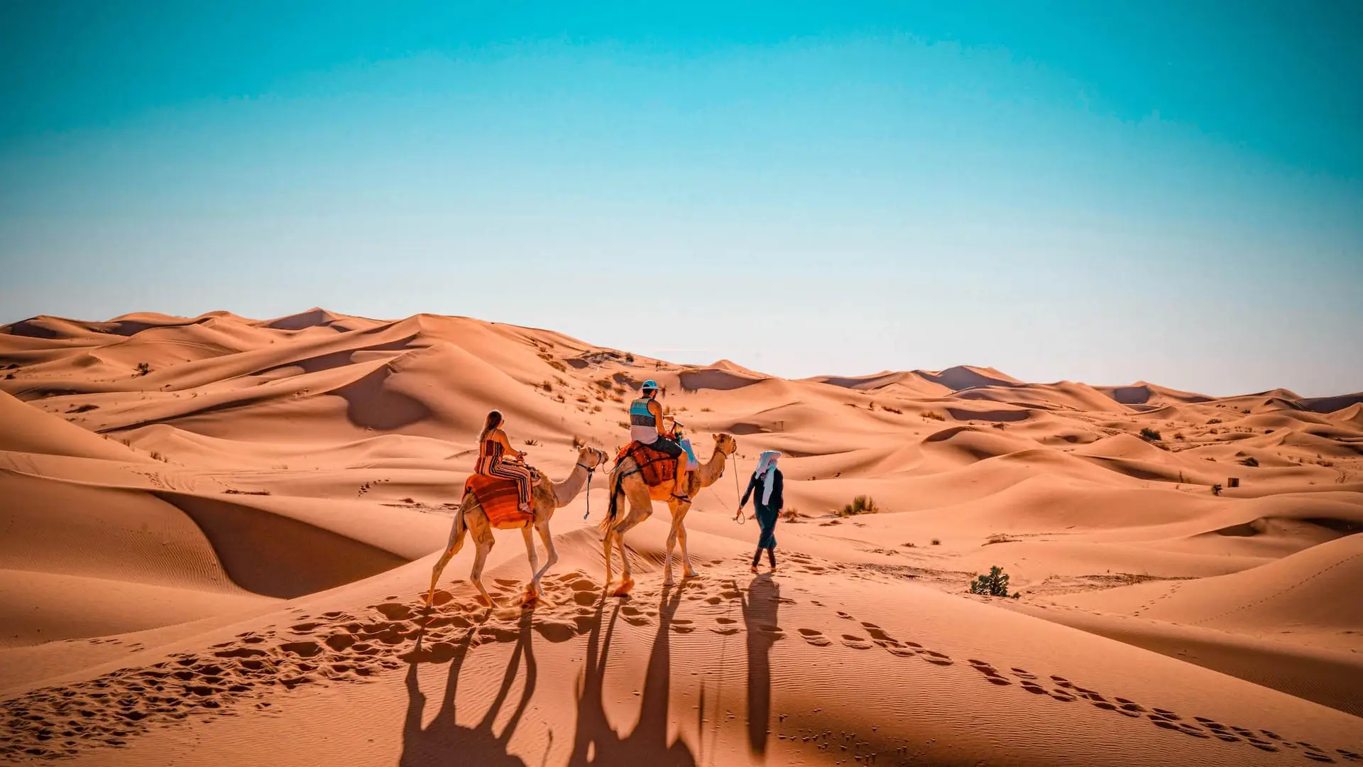 Conquer the Dunes. Discover the Freedom.